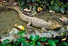 /album/fotogaleria/zoo-santa-fe-jpg/
